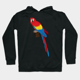 Artwork of a Sitting Scarlet Macaw Parrot Hoodie